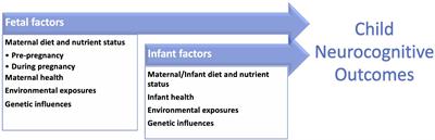 A Role for Data Science in Precision Nutrition and Early Brain Development